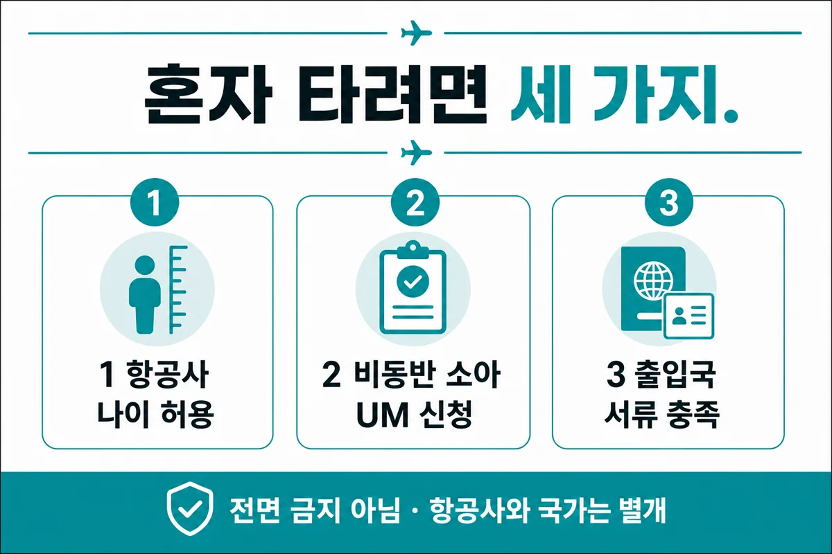 아이 혼자 비행 세 가지 조건