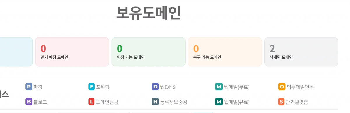 아이티이지 보유도메인 화면