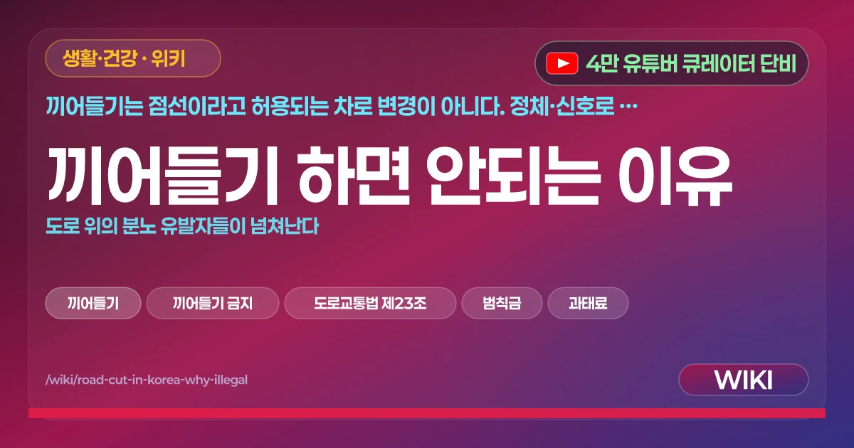 끼어들기 하면 안되는 이유 | 도로 위의 분노 유발자들이 넘쳐난다