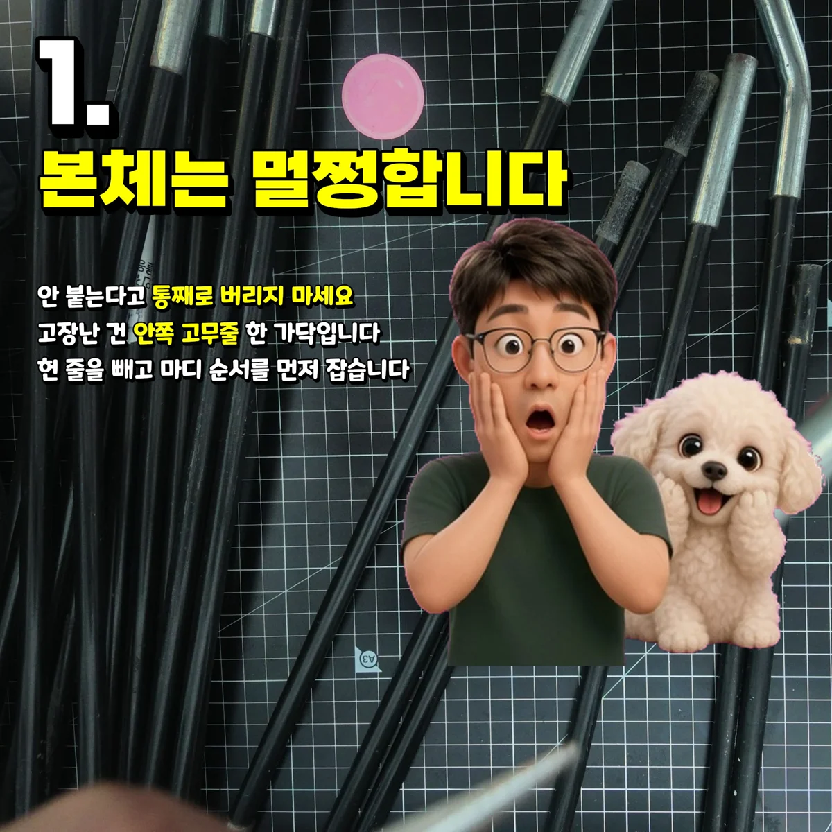 해체된 텐트 폴대 마디와 단비 강아지