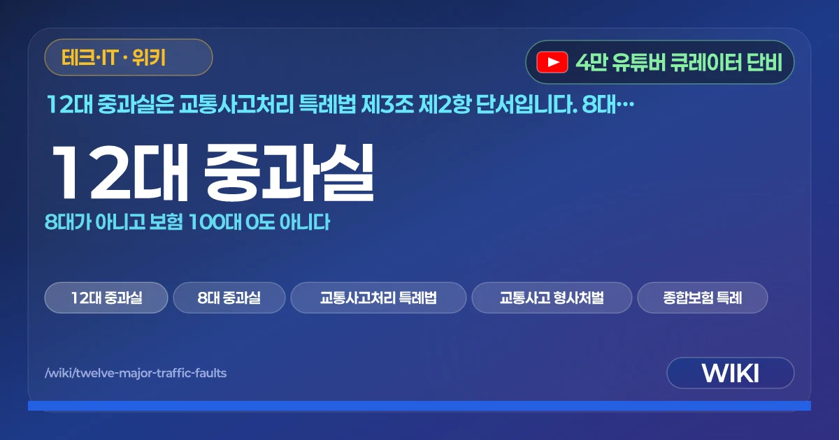 12대 중과실 | 8대가 아니고 보험 100대 0도 아니다