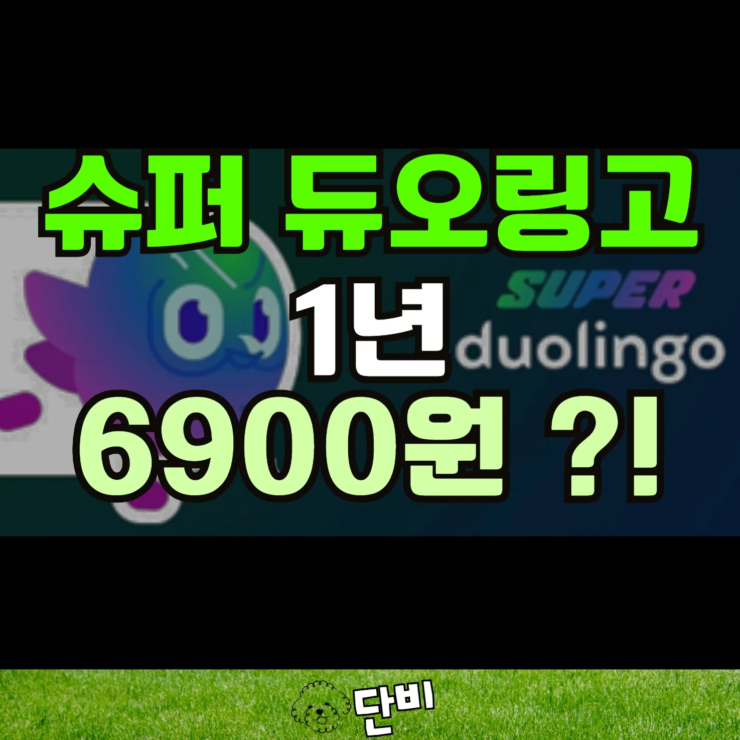 슈퍼 듀오링고 내돈내산 1년 6,900원 구매법