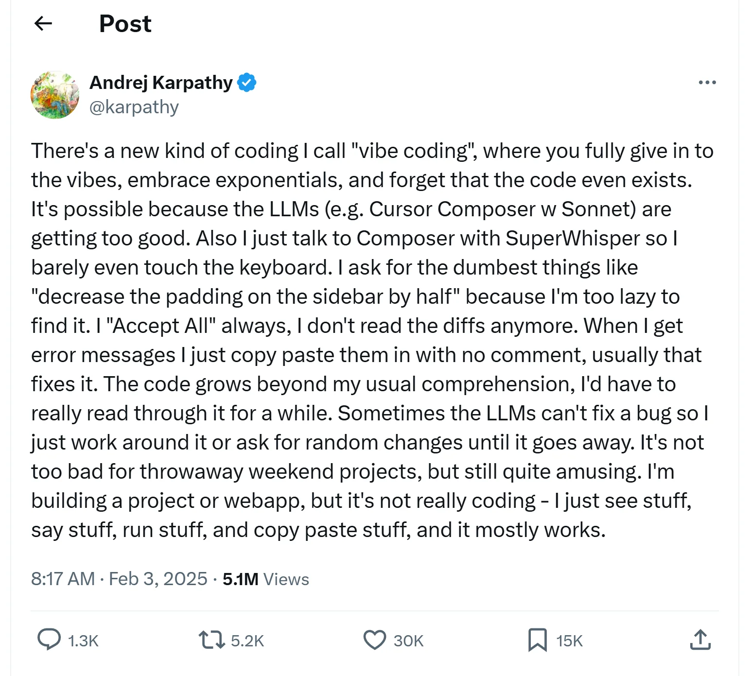 안드레이 카파시(Andrej Karpathy) 바이브 코딩