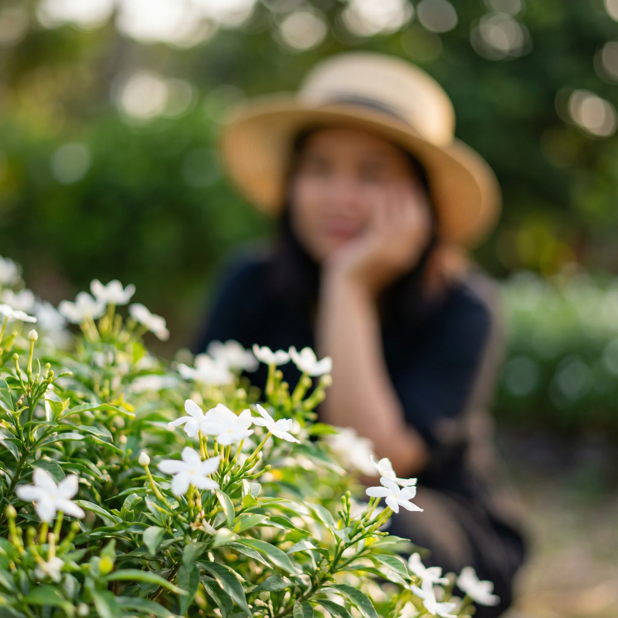 Shift the focus in this image from the person to the flowers