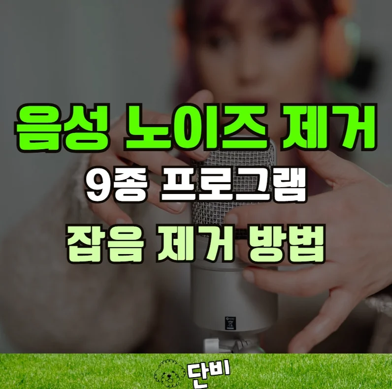 목소리 잡음제거 방법