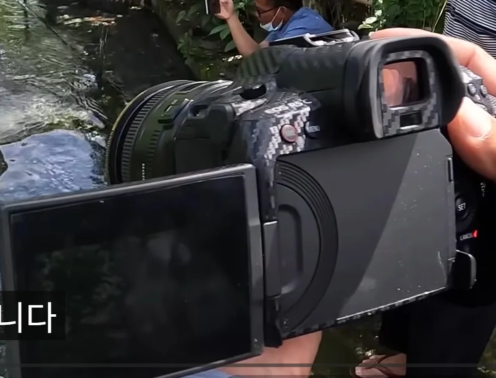 캐논 R5C 역마살로